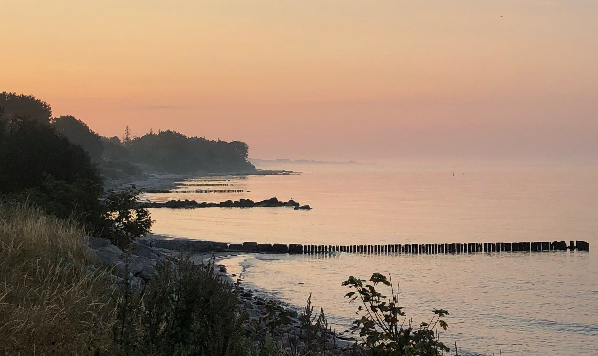 Satya Yoga Møn Retreats